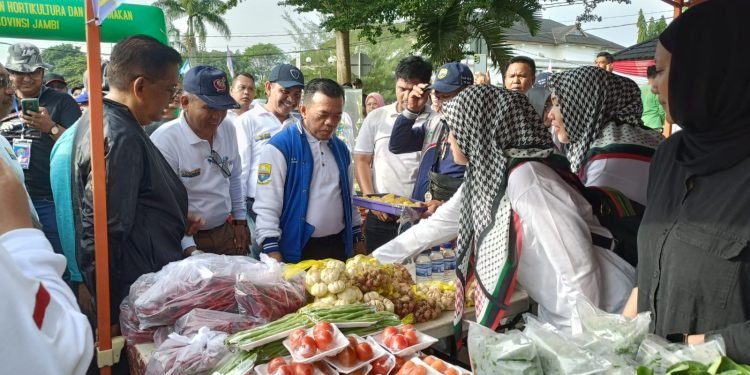 Program Dumisake : Al Haris Kucurkan Rp 35,3 M untuk Pembangunan Sektor Pertanian