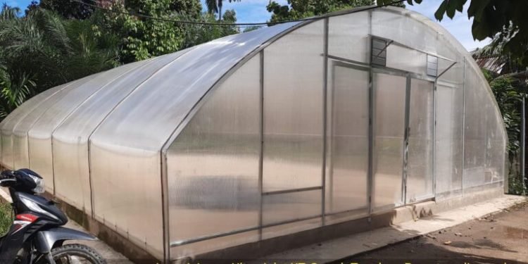 Terima Bantuan Dumisake Ketahanan Pangan, Kelompok Tani: Terima Kasih Pak Gubernur Jambi