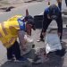 Pastikan Kenyamanan saat Mudik Idul Fitri di Jalan Nasional, BPJN Jambi Tutup Ribuan lubang