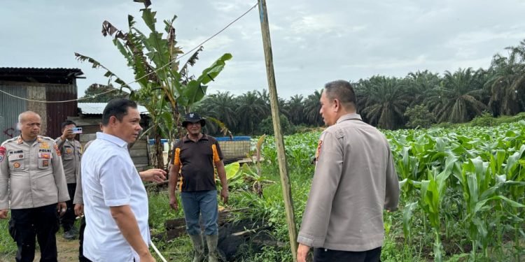 Polda Jambi Tinjau SPPG dan Program Jagung Pakan di Polres Tanjab Barat