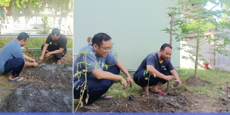 Kanwil Bea Cukai Aceh Hijaukan Komplek Santan: Wujud Nyata Cinta Bumi