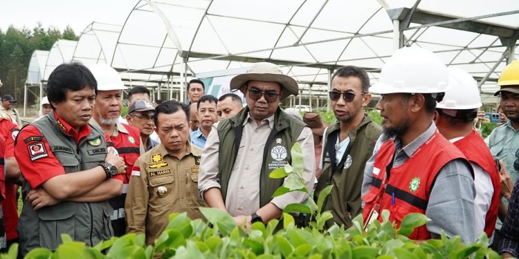 Gubernur Al Haris Dampingi Wamen LHK Tinjau PT WKS dan Manggala Agni Jambi