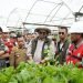 Gubernur Al Haris Dampingi Wamen LHK Tinjau PT WKS dan Manggala Agni Jambi