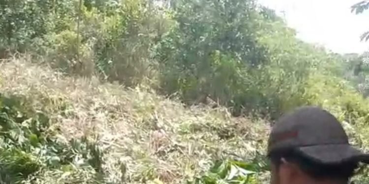 LKPMI Minta Pemkot Jambi Tuntaskan Masalah Kepemilikan Lahan Pasar Induk