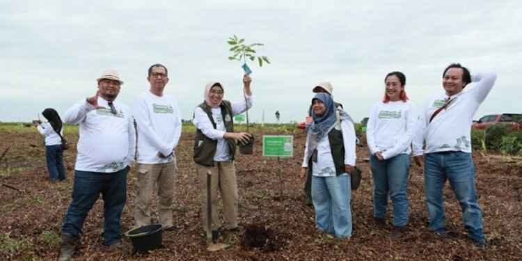 PT SAS dan Group Rehabilitasi Hutan Gambut Jambi Seluas Dua Ribu Hektar, Direktur Kemenhut: Ini Jadi Percontohan Nasional