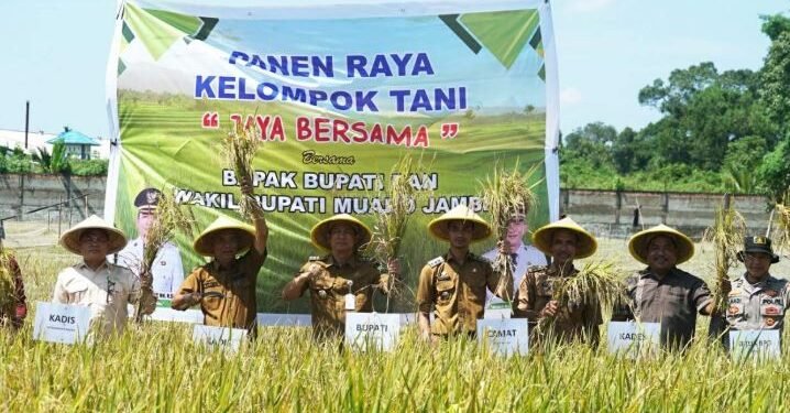 Bupati Muaro Jambi Hadiri Panen Raya Perdana Padi di Desa Pudak