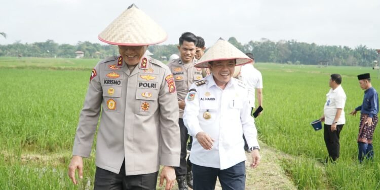 Presiden Prabowo Umumkan Indonesia Swasembada Pangan: Gubernur Al Haris Hadiri Tasyakuran Secara Virtual