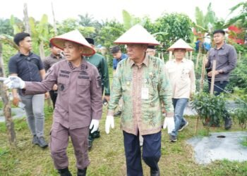 Dukung Penguatan Ketahanan Pangan, Wagub Sani Hadiri Panen Raya Jagung