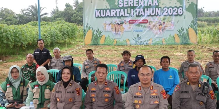 Polresta Jambi Ikuti Panen Raya Jagung Serentak Kuartal IV 2025 Secara Nasional