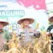 Panen Raya Jagung Kuartal I 2026, Wakapolda Jambi Dorong Sinergi Petani dan Pemerintah